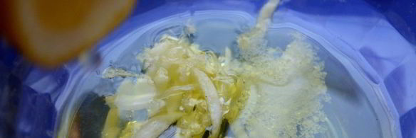 грибная икра