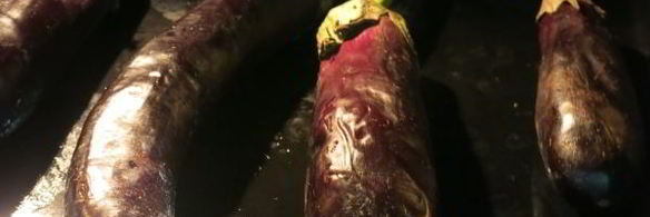 икра из печеных баклажанов