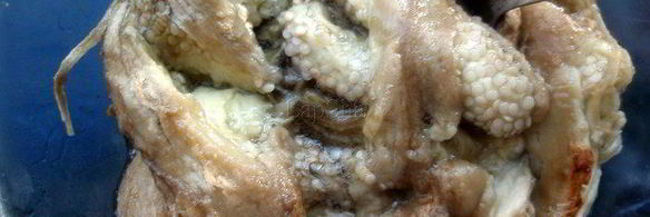 эссекская икра