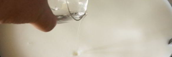 кипрский сыр халуми