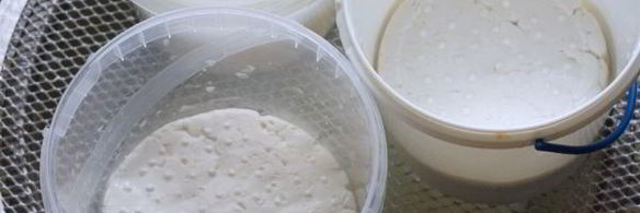 кипрский сыр халуми