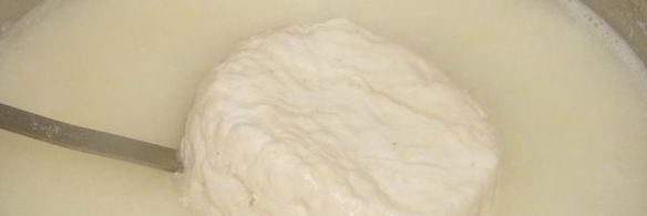 кипрский сыр халуми