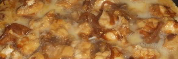 оякодон — японский омлет с рисом и курицей