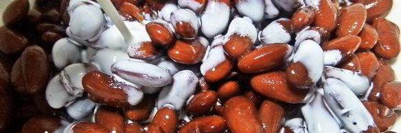 фасолевый паштет на томатных крекерах