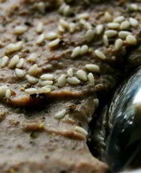 Фасолиево-имбирный паштет