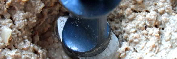 паштет из куриной печени с укропом