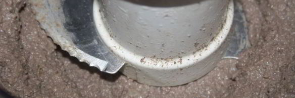 паштет из печени индейки с корнем сельдерея и вином