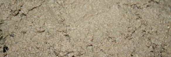 паштет из печени индейки с корнем сельдерея и вином