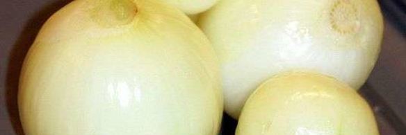 паштет из утиной печени