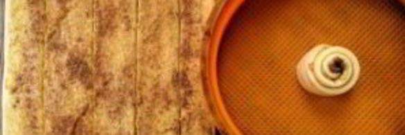 гигантский коричный ролл