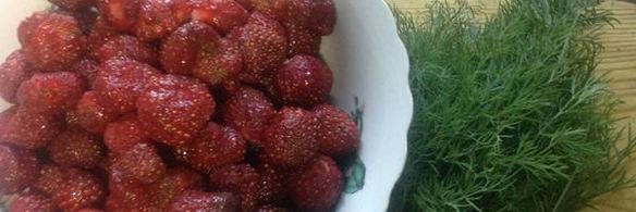 роллы из телятины с клубничным соусом