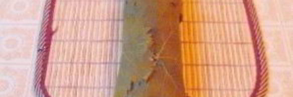 роллы с виноградными листьями