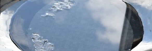 спринг роллы с курицей