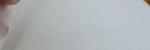 спринг-роллы с лососем