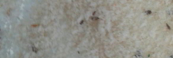 картофельный рулет с грибами