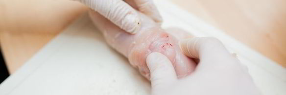 куриные рулетики с фисташковой начинкой