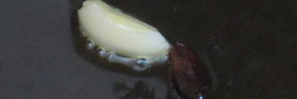 куриные рулетики с цветной капустой