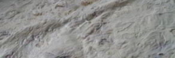 рулет из лаваша с грибами