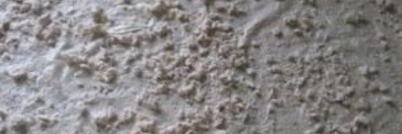 рулет из лаваша с майонезом