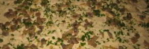 рулет из лаваша с майонезом