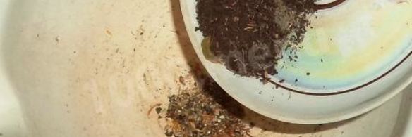 рулет из свиного сала