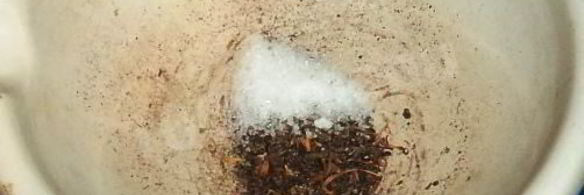 рулет из свиного сала