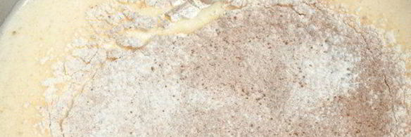 рулет рождественское полено