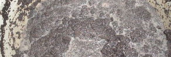 рулет с маком