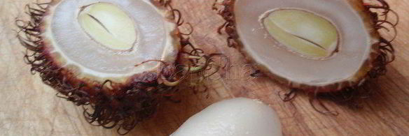 рулетики с начинкой из рамбутана и сыра дор блю