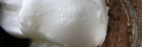 шоколадный рулет с бананом