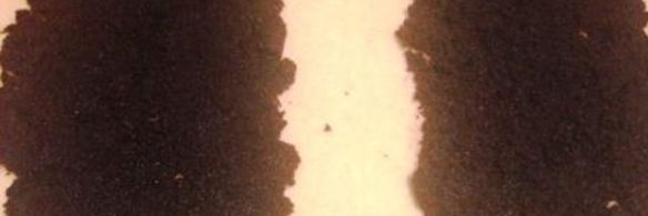 творожный рулет с маком