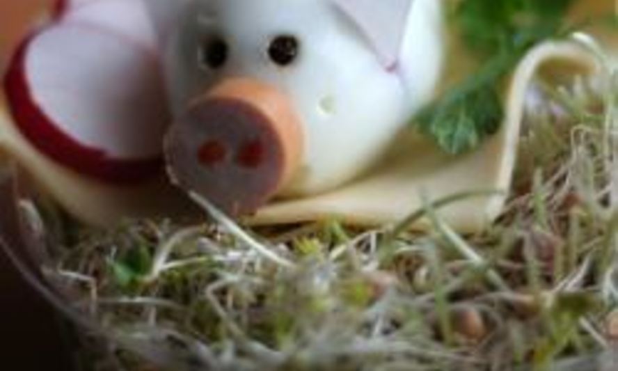 Рецепт свинок из вареных яиц