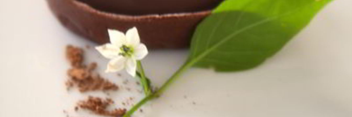 Шоколадные тарталетки с шоколадно-кофейным кремом