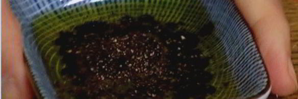 тарталетки с красным луком и сырным соусом