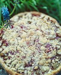 Ревеневый тарт с ванильным пудингом и штройзелем