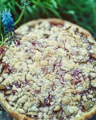 Ревеневый тарт с ванильным пудингом и штройзелем