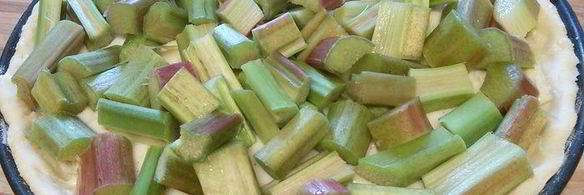 ревеневый тарт с ванильным пудингом и штройзелем