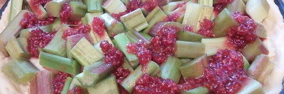 ревеневый тарт с ванильным пудингом и штройзелем