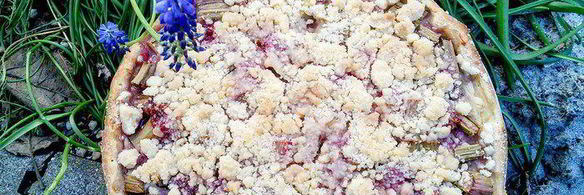 ревеневый тарт с ванильным пудингом и штройзелем