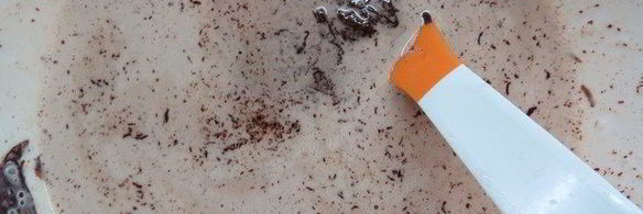 шоколадно-каштановый тарт