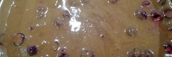 шоколадный теплый тарт с вишнями и сливами