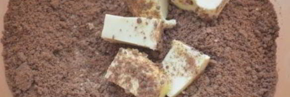 тарт баноффи с меренгой