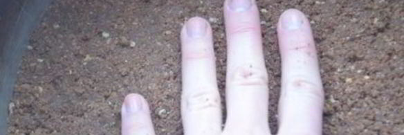 тарт баноффи с меренгой