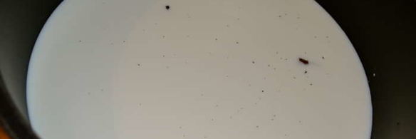 тарт из сан-тропе