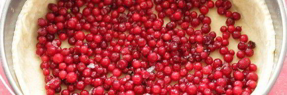 тарт с брусникой и нежным кремом с белым шоколадом