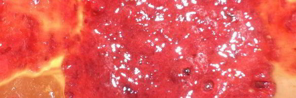 тарт с клюквенно-яблочной начинкой