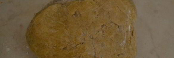 тарт с курицей, грибами и сладким перцем