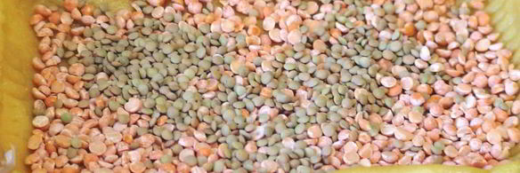 тарт с ревенем