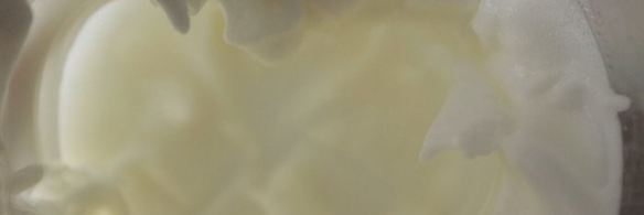 тарт с ягодным самбуком