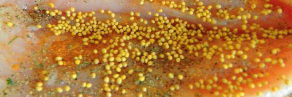 закуска из куриной грудки раковые шейки